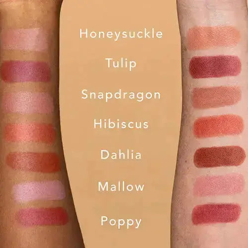 ethique plastic free lipstick range