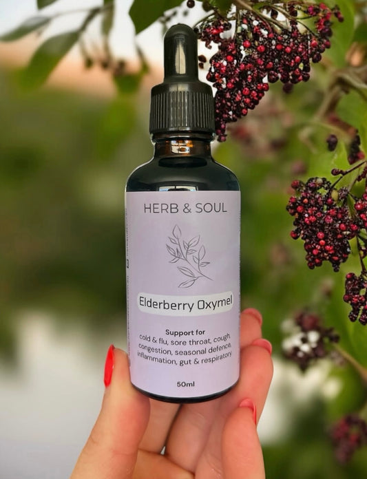 Bottle of Herb & Soul Elderberry Oxymel with elderberry plant in the background