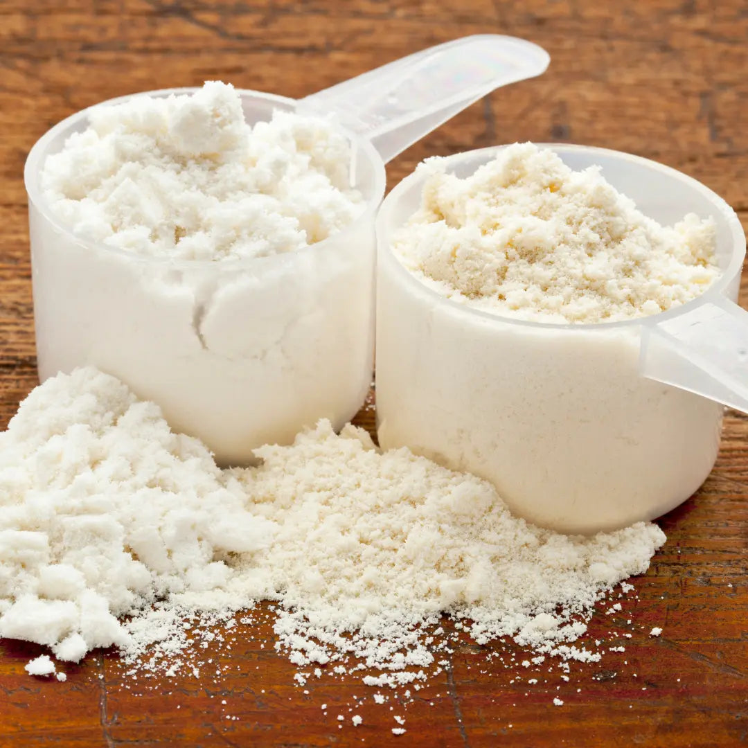 whey protein powder