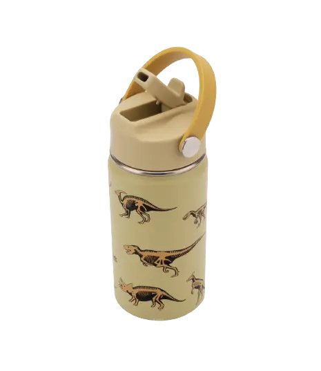 cheeki, drink bottle, stainless steel drink bottle, kids drink bottle, dinosaur, kids