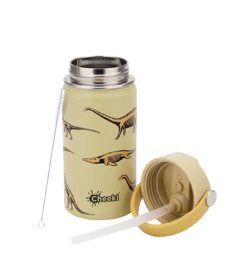 cheeki, drink bottle, stainless steel drink bottle, kids drink bottle, dinosaur, front