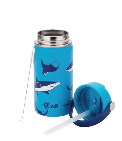 cheeki, drink bottle, stainless steel drink bottle, kids drink bottle, shark, front