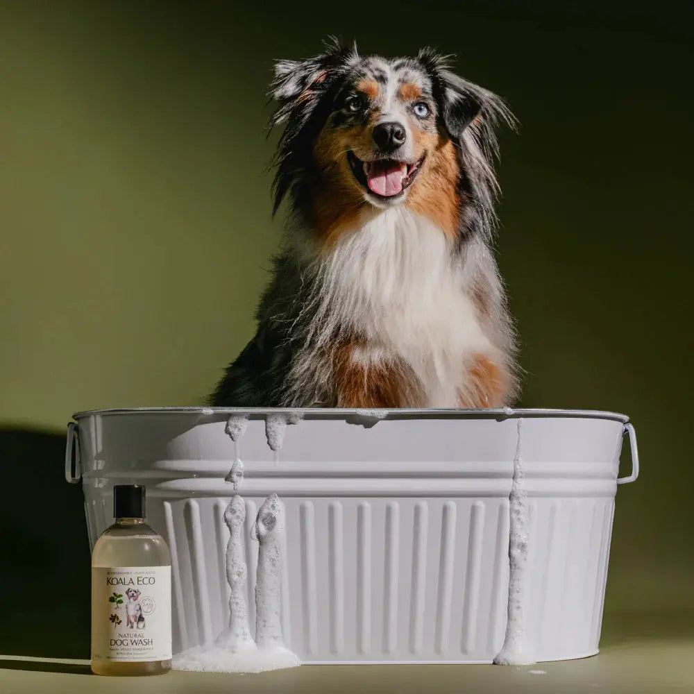 koala eco dog wash styled with a dog having a bath, low-tox