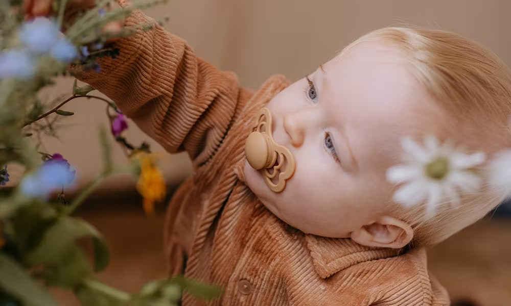 Baby in a brown outfit with a bibs pacifier, surrounded by flowers and plants.