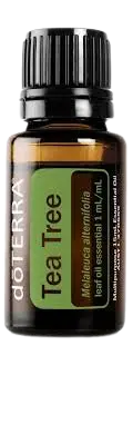 Tea Tree (Melaleuca) Essential Oil DOTERRA