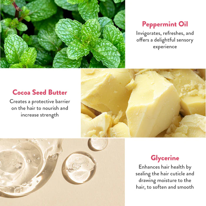 ethique mintasy shampoo bar ingredients
