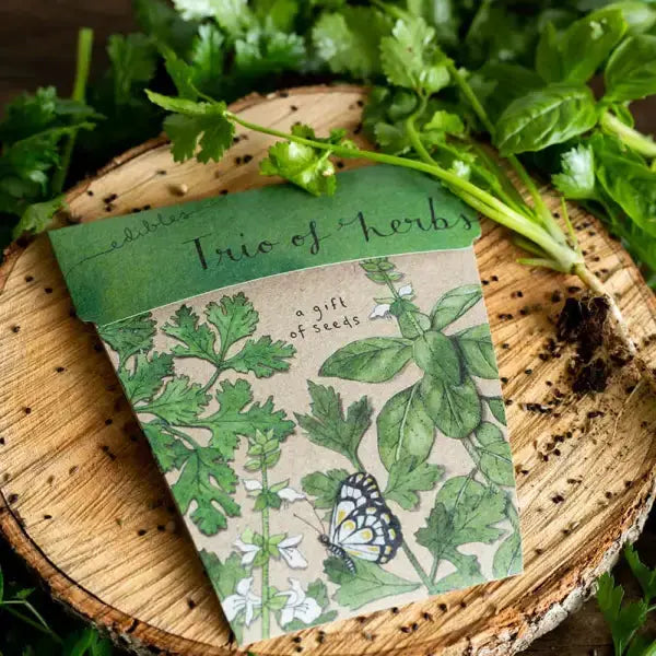 Gift of Seeds - Trio of Herbs SOW 'N SOW