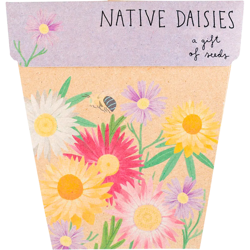 Gift of Seeds - Native Daisies SOW 'N SOW