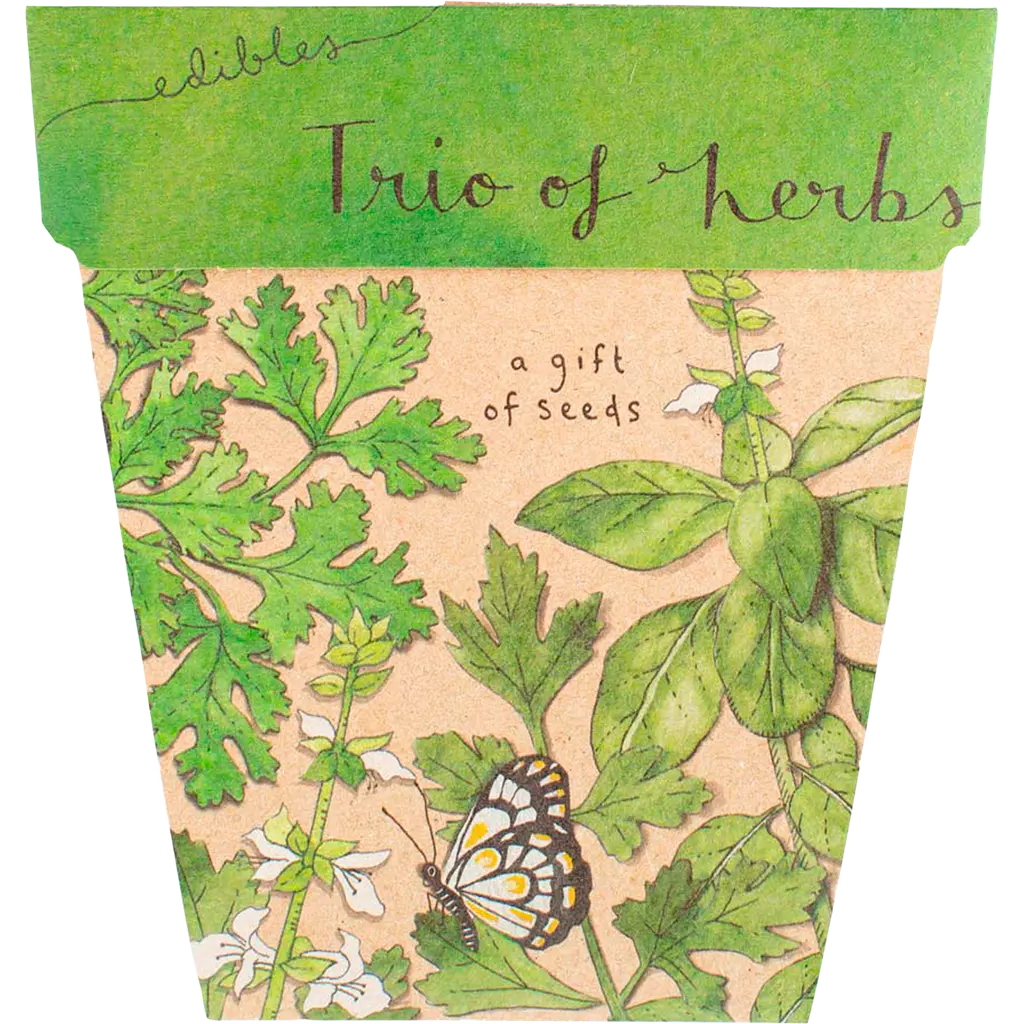 Gift of Seeds - Trio of Herbs SOW 'N SOW