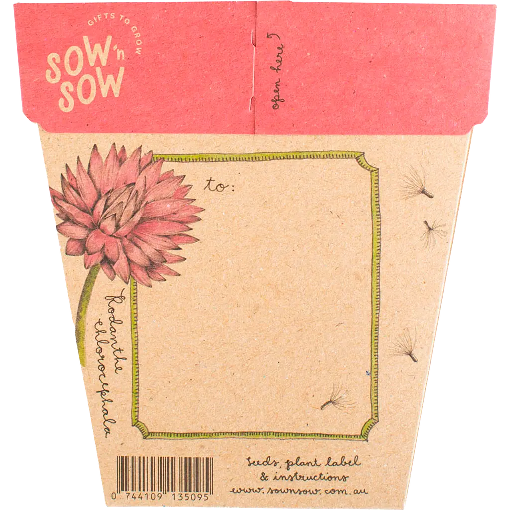 Gift of Seeds - Everlasting Daisy SOW 'N SOW