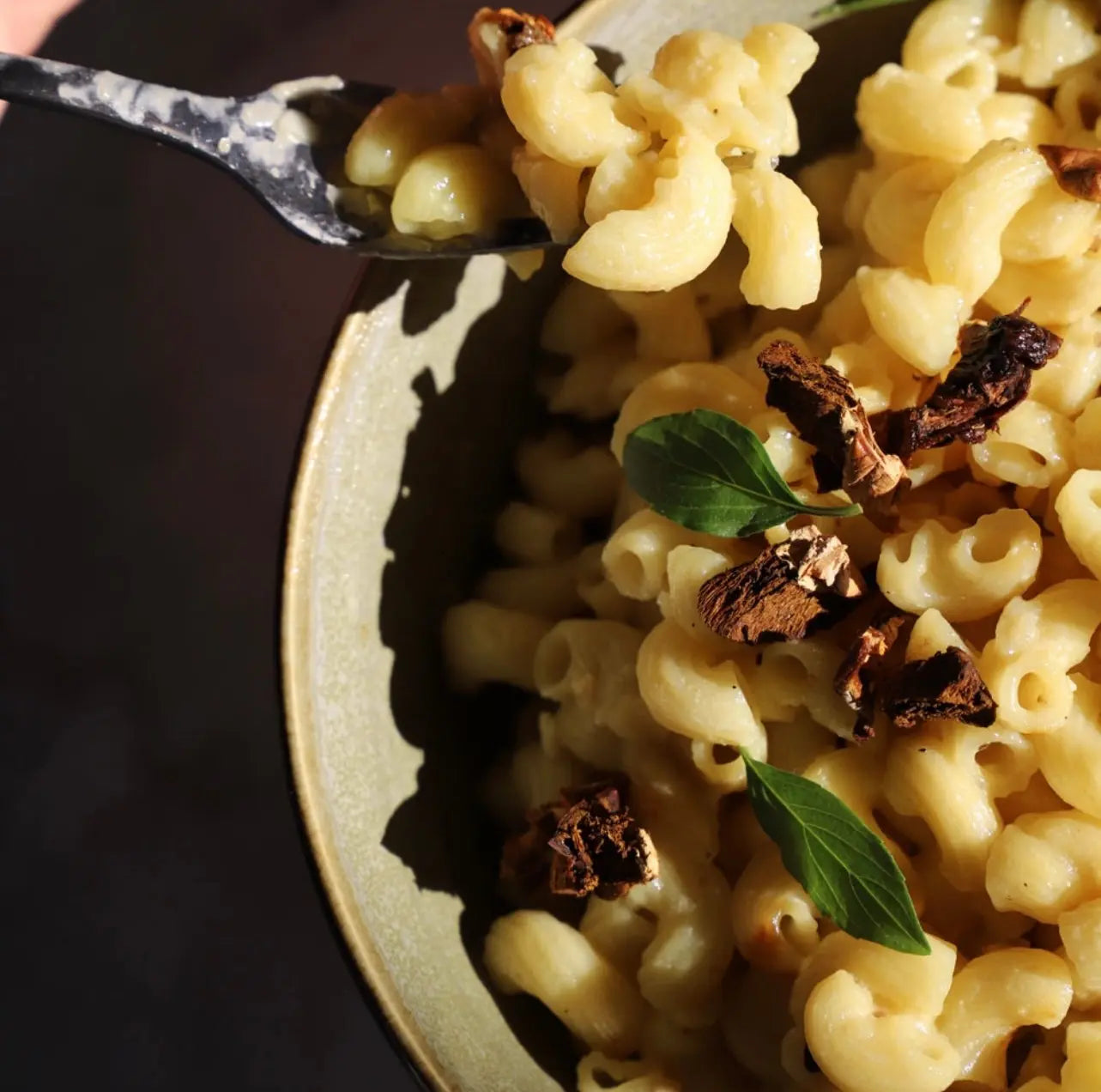 plantasy foods, mac n cheez, porcini cheez, additive free, plant based pasta