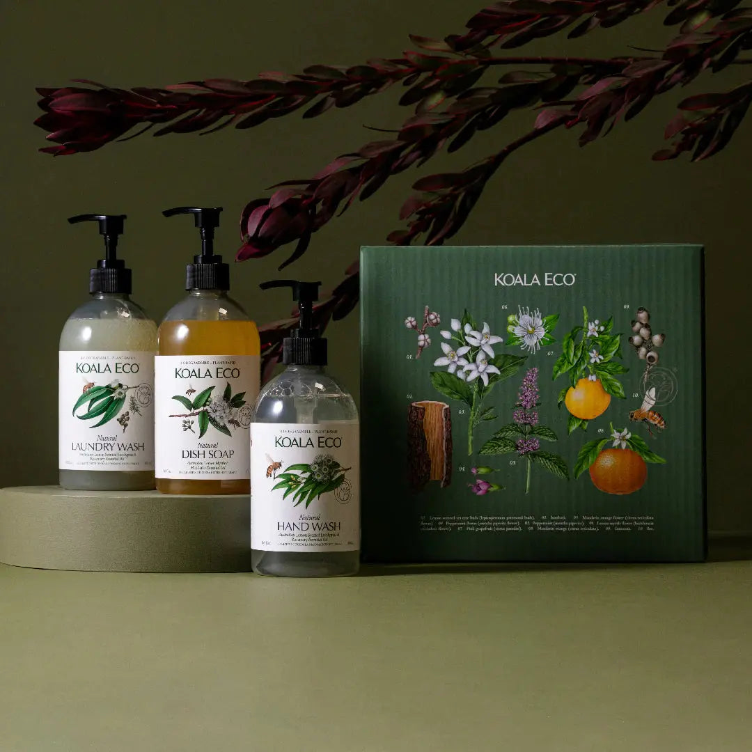 koala eco giftpack