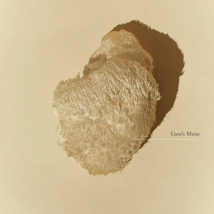 lion's mane mushroom
