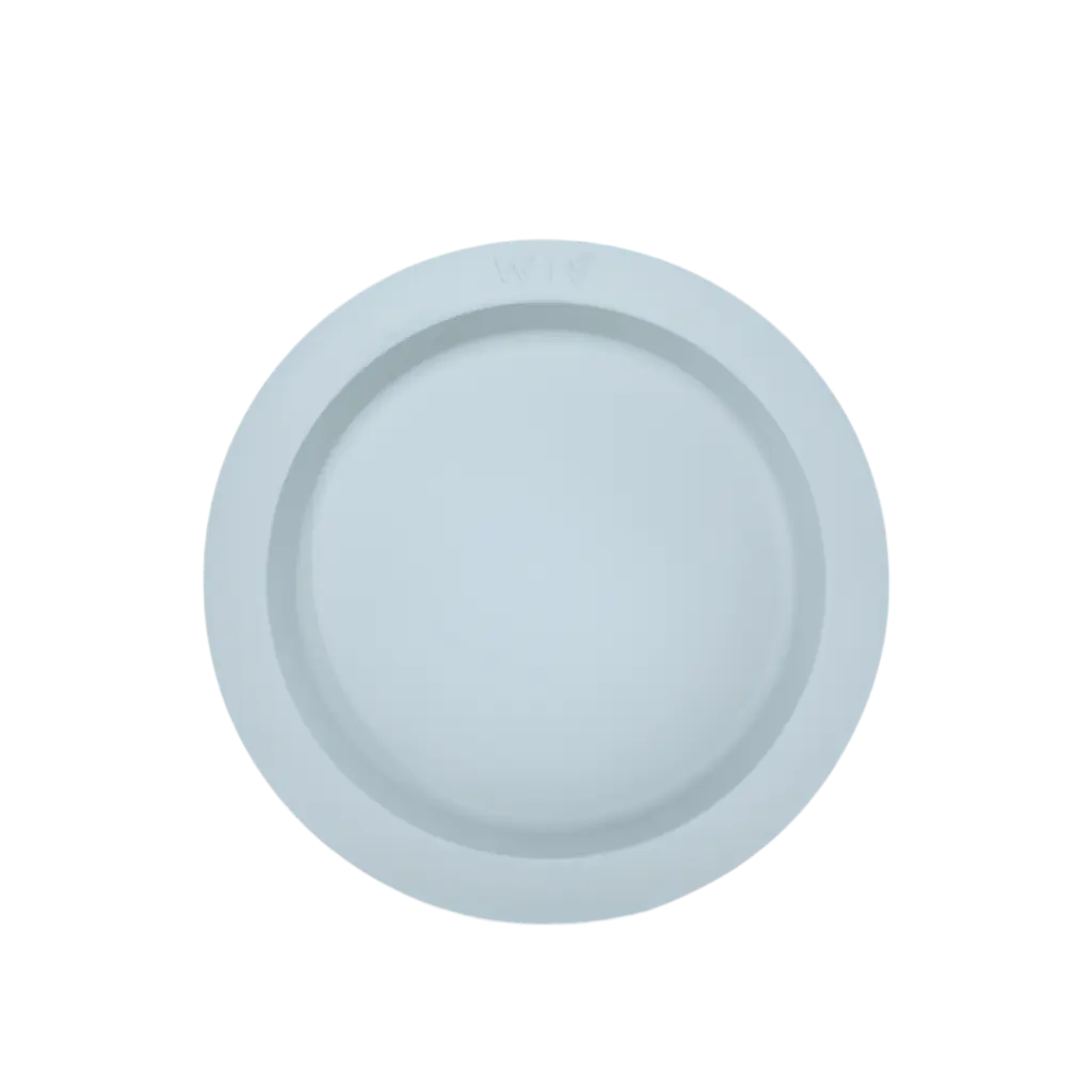 wild Indiana fancy plate duck egg