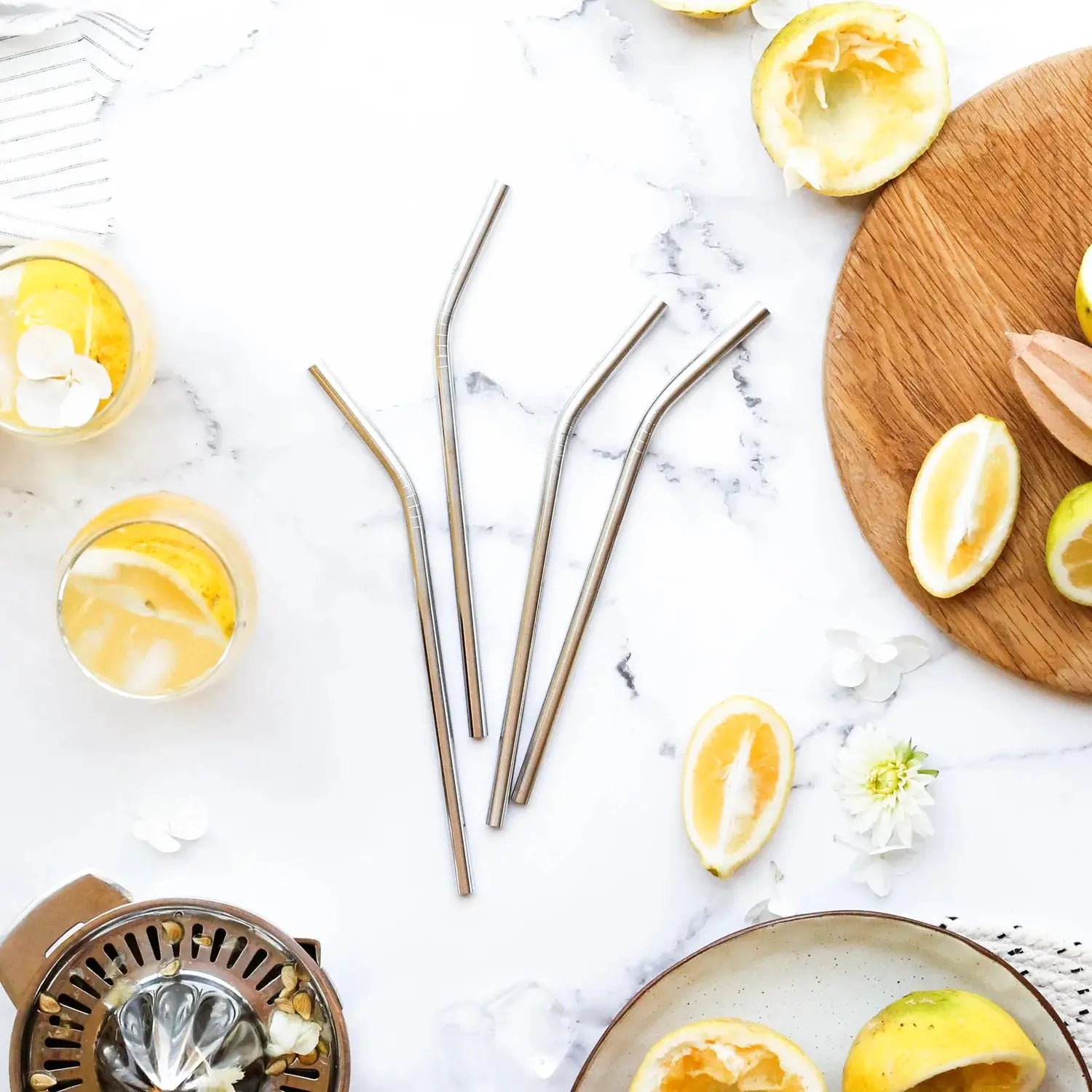 Stainless Steel Drinking Straws EVER ECO