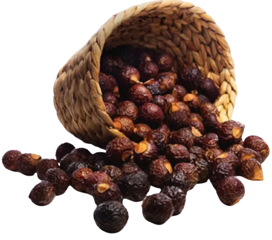 That Red House soapberries