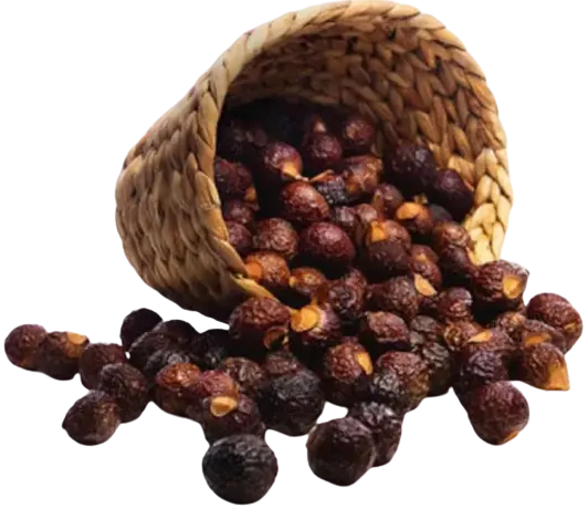 That Red House soapberries