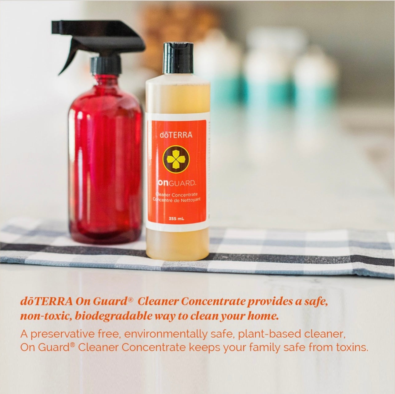 On Guard Cleaning Concentrate