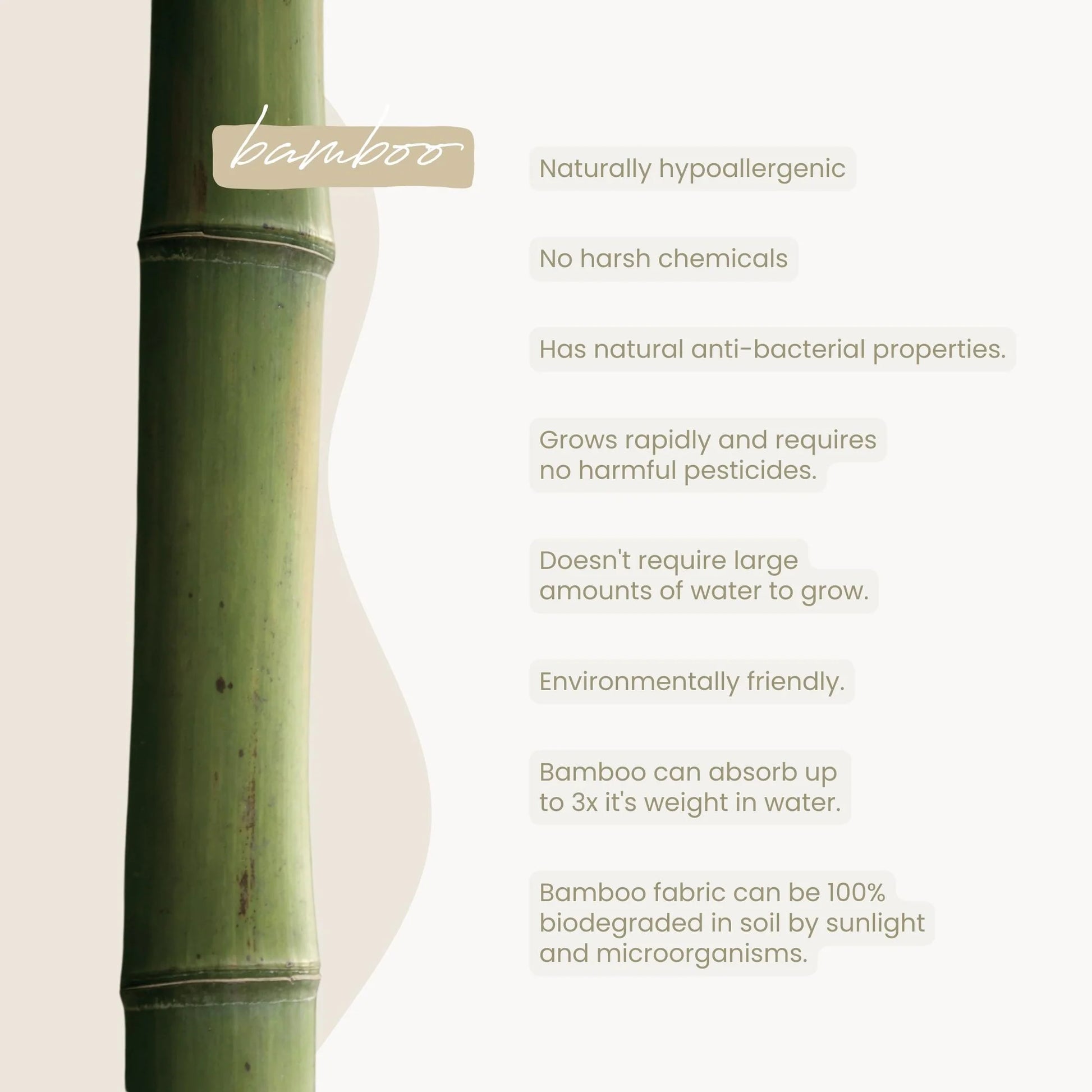 about bamboo, luv me