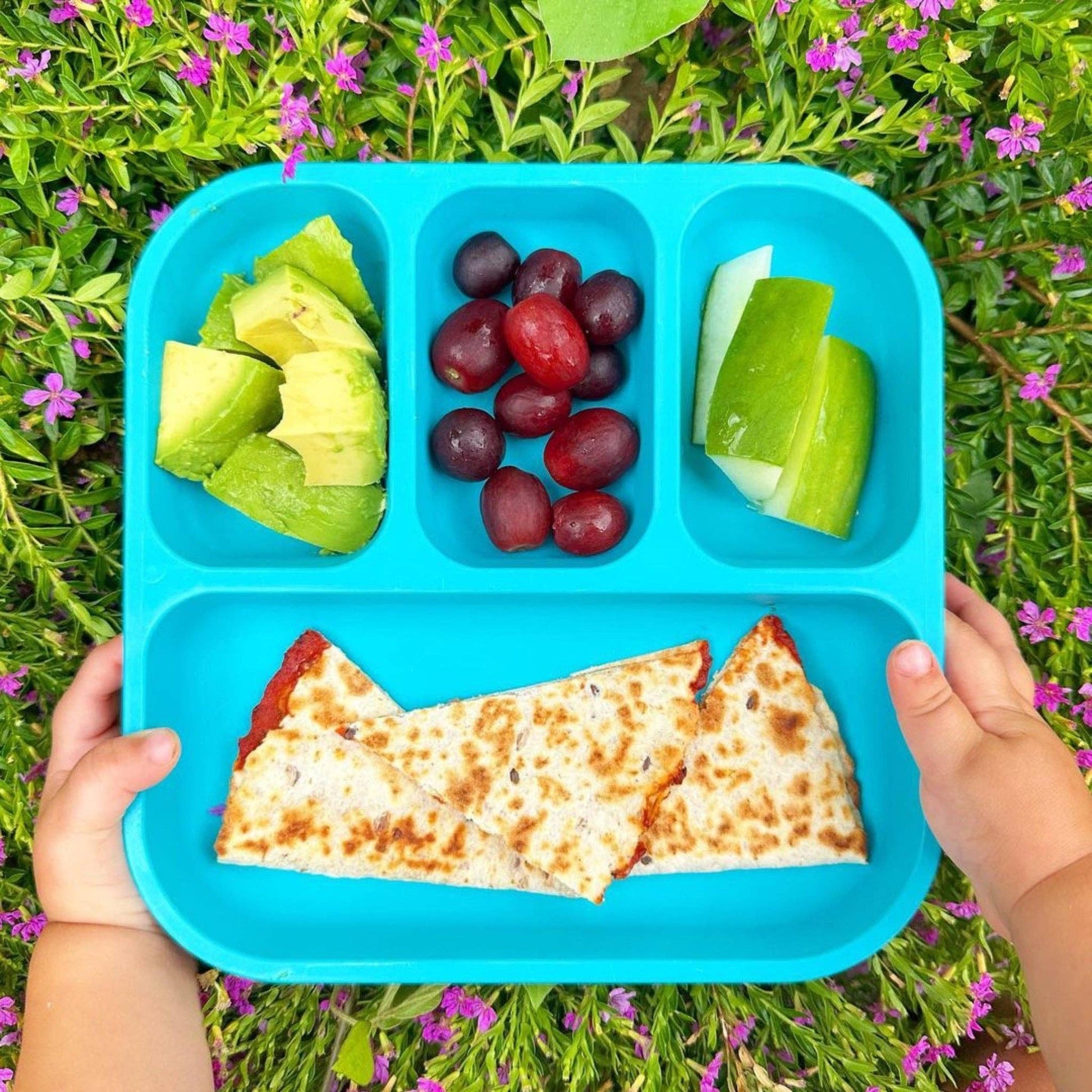 bobo&boo blue bento style plate with food