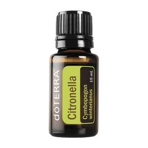 Citronella Essential Oil