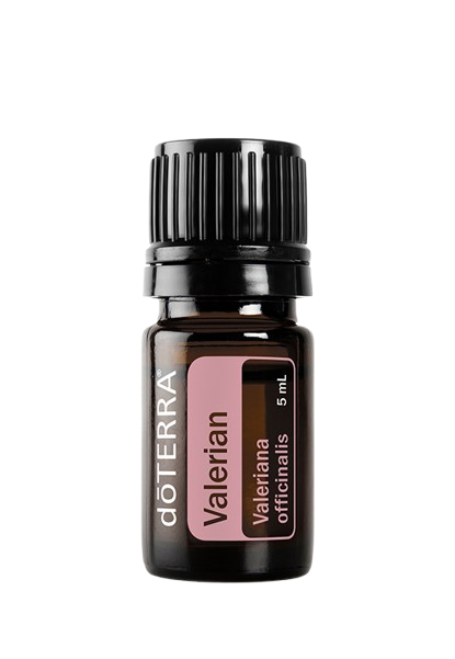 Valerian  Essential Oil 5ml