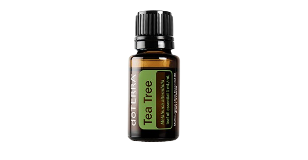 doterra tea tree essential oil 15ml