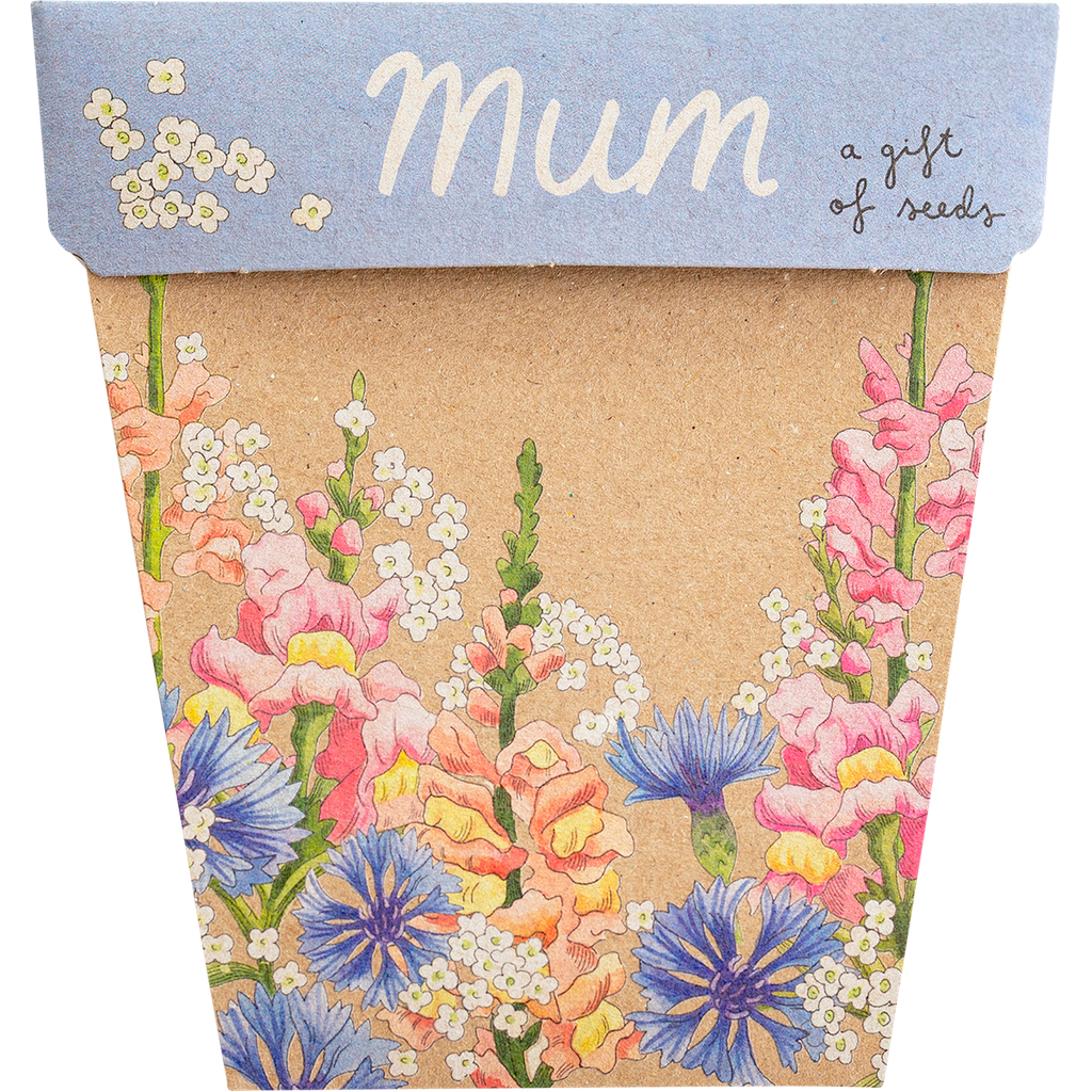 sow n sow, a gift of seeds, mum, front