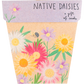 Gift of Seeds - Native Daisies