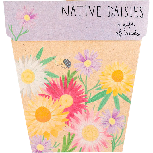 Gift of Seeds - Native Daisies SOW 'N SOW
