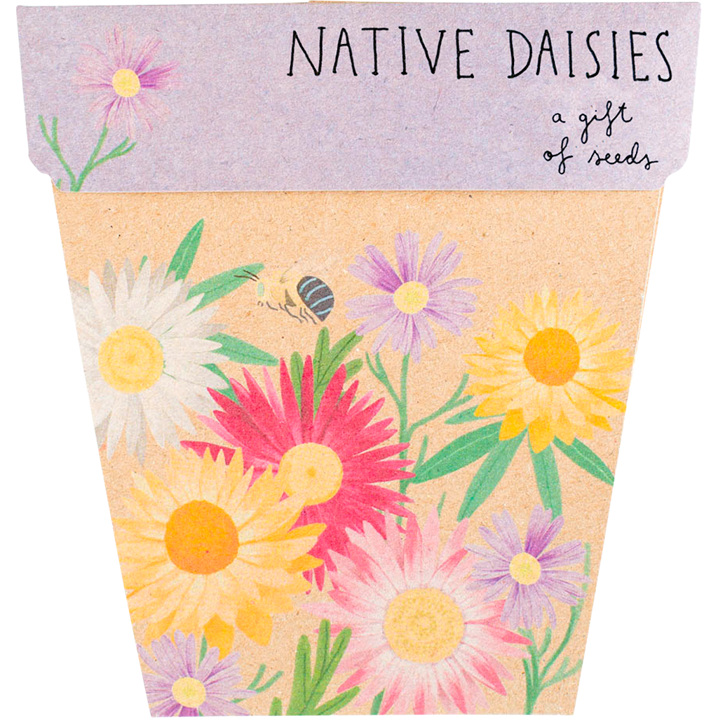 Gift of Seeds - Native Daisies