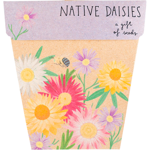 Gift of Seeds - Native Daisies