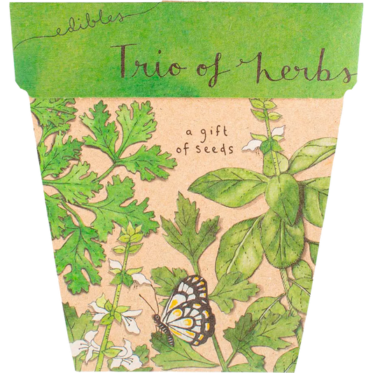 Gift of Seeds - Trio of Herbs SOW 'N SOW
