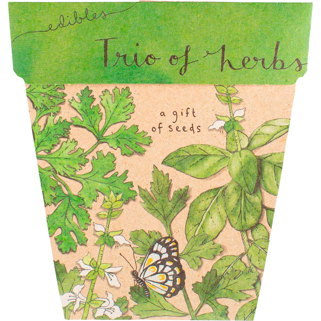 Gift of Seeds - Trio of Herbs