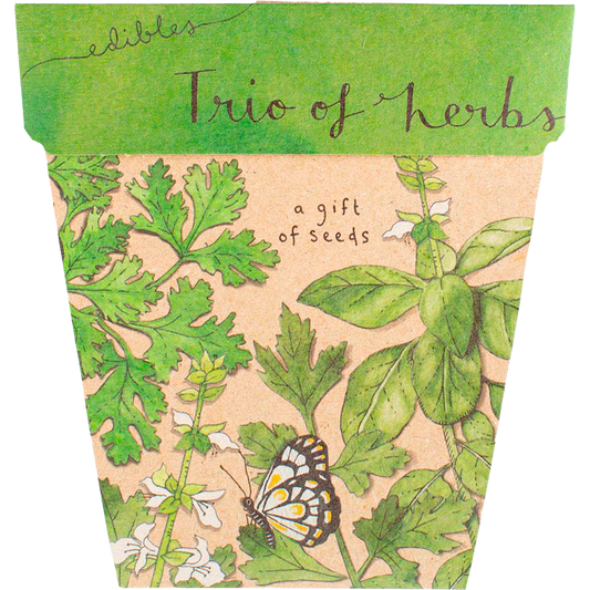 Gift of Seeds - Trio of Herbs