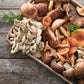 natura mushrooms, mushroom powder, harmony 6 mushroom blend, medicinal mushrooms, medicinal mushrooms