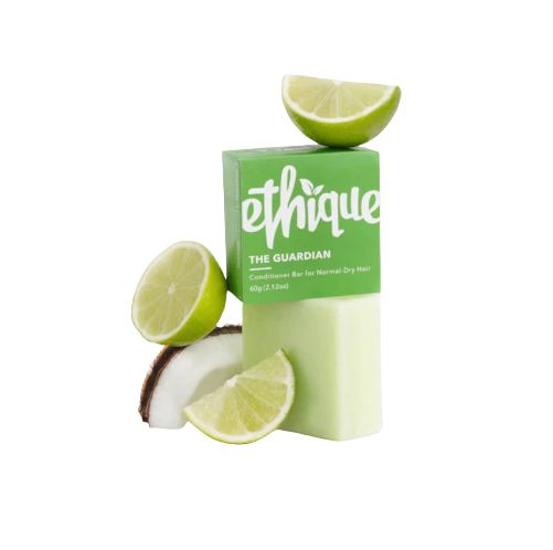 ethique the guardian conditioner bar for normal dry hair